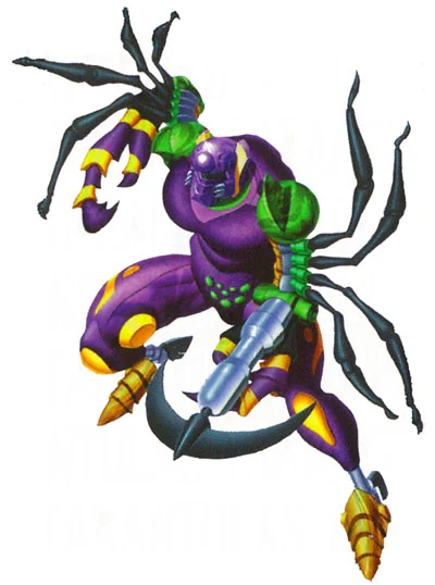 Tarantulas